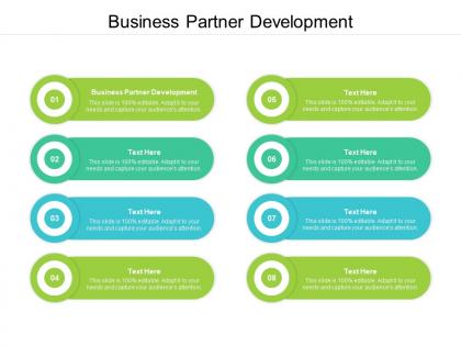 Business partner development ppt powerpoint presentation professional backgrounds cpb