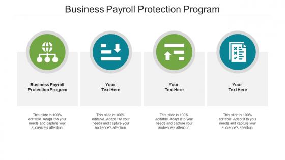 Business payroll protection program ppt powerpoint presentation model slide portrait cpb