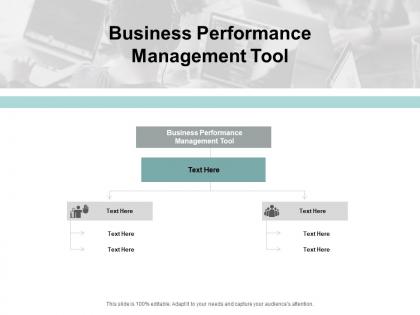 Business performance management tool ppt powerpoint presentation outline cpb