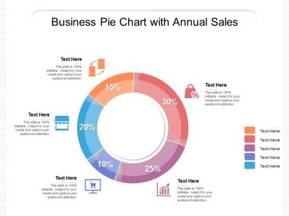 Business pie chart with annual sales