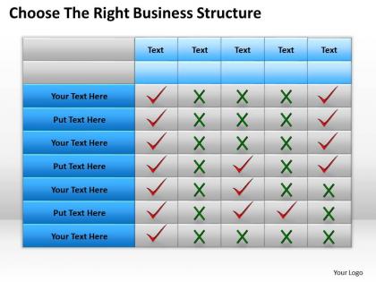 Business plan choose the right structure powerpoint slides 0528