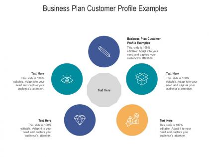 Business plan customer profile examples ppt powerpoint presentation layouts mockup cpb
