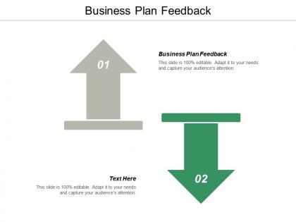 Business plan feedback ppt powerpoint presentation file background image cpb