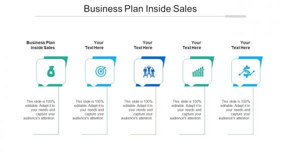 Business Plan Inside Sales Ppt Powerpoint Presentation Styles Files Cpb