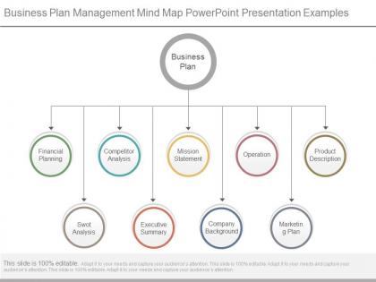 Business plan management mind map powerpoint presentation examples