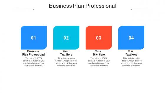 Business plan professional ppt powerpoint presentation slides images cpb