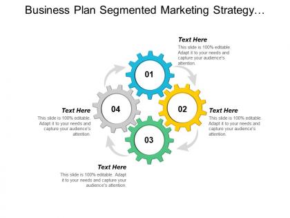 Business plan segmented marketing strategy contact relationship management