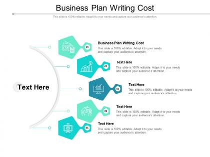 Business plan writing cost ppt powerpoint presentation slides templates cpb
