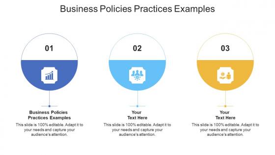 Business policies practices examples ppt powerpoint presentation infographic template example 2015 cpb