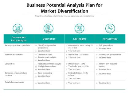 Business potential analysis plan for market diversification