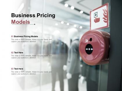 Business pricing models ppt powerpoint presentation professional skills cpb