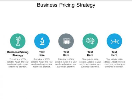 Business pricing strategy ppt powerpoint presentation slides visuals cpb