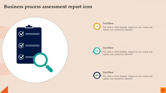 Business Process Assessment Report Icon