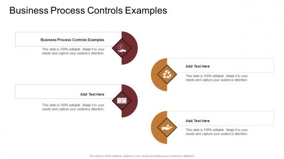 Business Process Controls Examples In Powerpoint And Google Slides Cpb