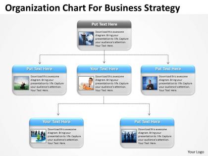 Business process flow diagrams organization chart for strategy powerpoint slides 0523