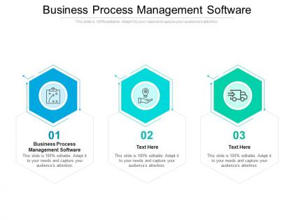 Business process management software ppt powerpoint presentation professional show cpb