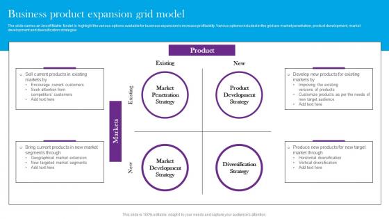 Business Product Expansion Grid Model Comprehensive Guide For Global