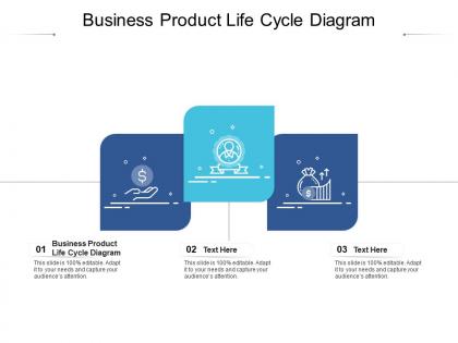 Business product life cycle diagram ppt powerpoint presentation ideas portrait cpb