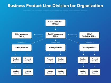 Business product line division for organization