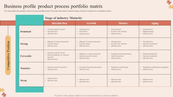 Business Profile Product Process Portfolio Matrix