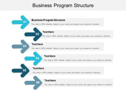 Business program structure ppt powerpoint presentation file images cpb