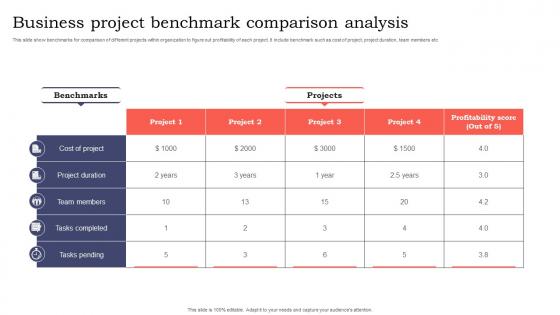 Business Project Benchmark Comparison Analysis