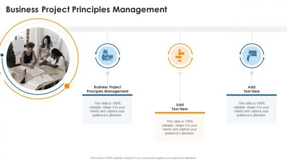 Business Project Principles Management In Powerpoint And Google Slides Cpb