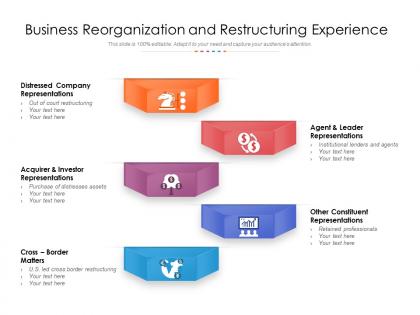 Business reorganization and restructuring experience