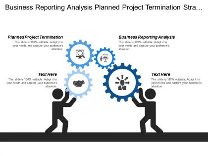 Business reporting analysis planned project termination strategic initiatives