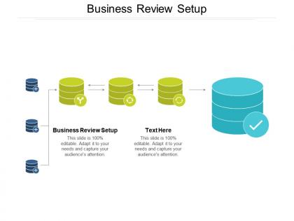 Business review setup ppt powerpoint presentation professional graphics tutorials cpb