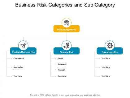 Business risk categories and sub category