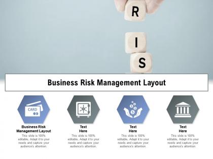 Business risk management layout ppt powerpoint presentation summary graphics cpb