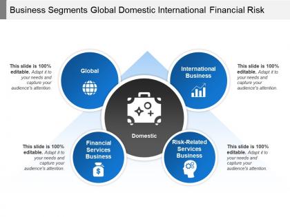 Business segments global domestic international financial risk