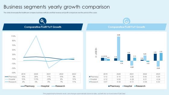 Business Segments Yearly Growth Comparison Healthcare Company Financial Report
