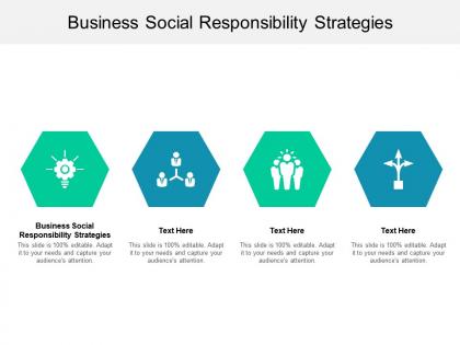 Business social responsibility strategies ppt powerpoint presentation professional master slide cpb