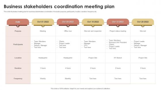 Business Stakeholders Coordination Meeting Plan