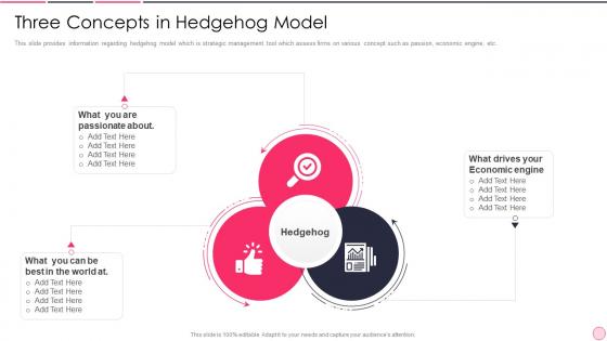Business Strategy Best Practice Three Concepts In Hedgehog Model