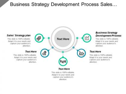 Business Strategy Development Process Sales Strategy Plan Management Tools Cpb