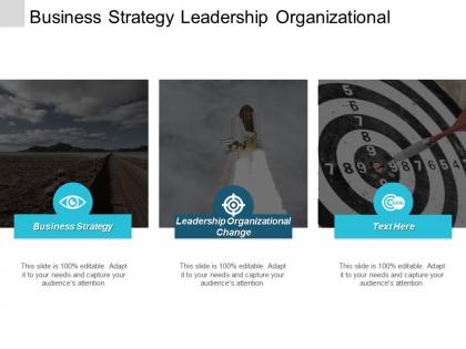 Business strategy leadership organizational change effective performance management cpb