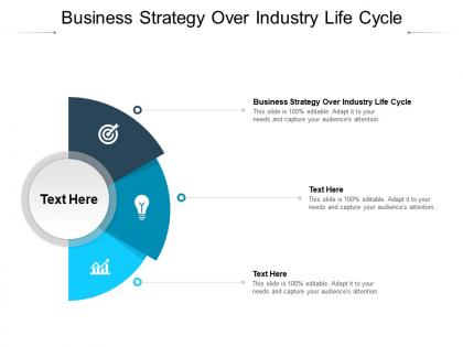Business strategy over industry life cycle ppt powerpoint file layouts cpb
