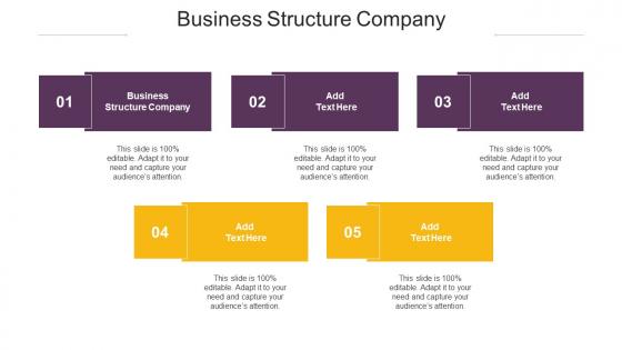 Business Structure Company Ppt Powerpoint Presentation Slides Templates Cpb