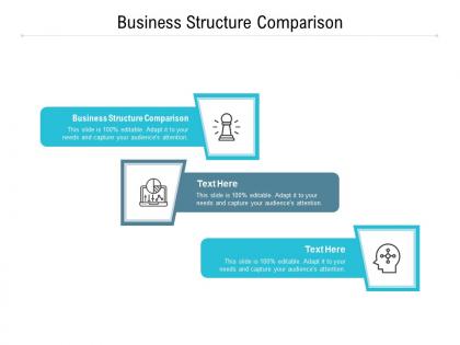 Business structure comparison ppt powerpoint presentation styles template cpb