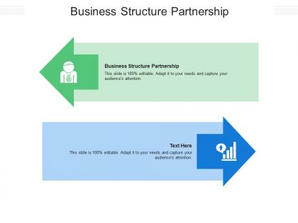 Business structure partnership ppt powerpoint presentation styles deck cpb