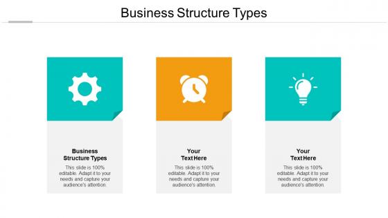 Business structure types ppt powerpoint presentation inspiration slide download cpb