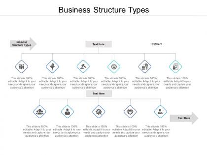 Business structure types ppt powerpoint presentation outline demonstration cpb