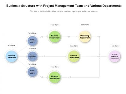 Business structure with project management team and various departments