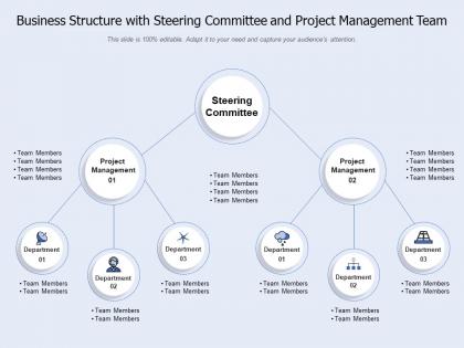 Business structure with steering committee and project management team