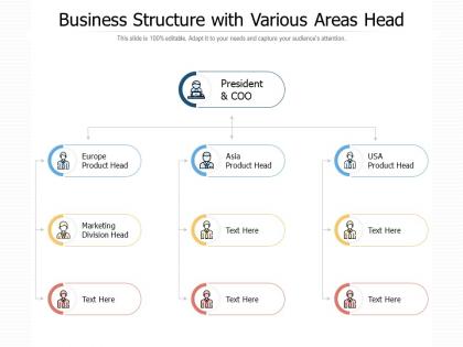 Business structure with various areas head