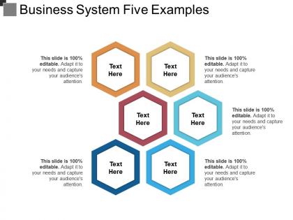 Business system five examples