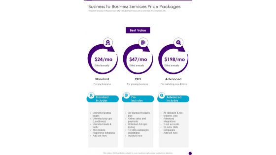 Business To Business Services Price Packages One Pager Sample Example Document